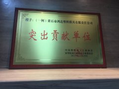 Outstanding contribution unit of China Plastics Processing I
